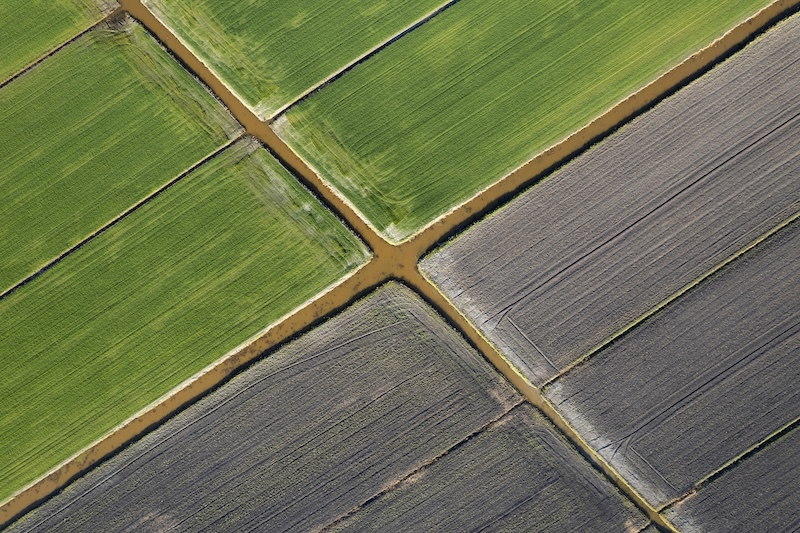 Aerial shot of the giometric shapes of the fields